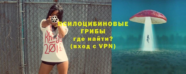 круглые Алексеевка