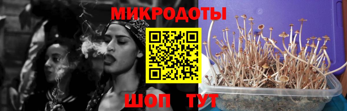 Галлюциногенные грибы прущие грибы  Псилоцибиновые грибы Psilocybe  Вход с VPN  Новороссийск 